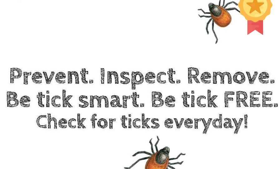 Tick-free_2022